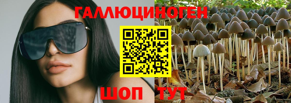 Галлюциногенные грибы Cubensis  Галлюциногенные грибы Cubensis  Вход с VPN  где купить наркоту  Еманжелинск 