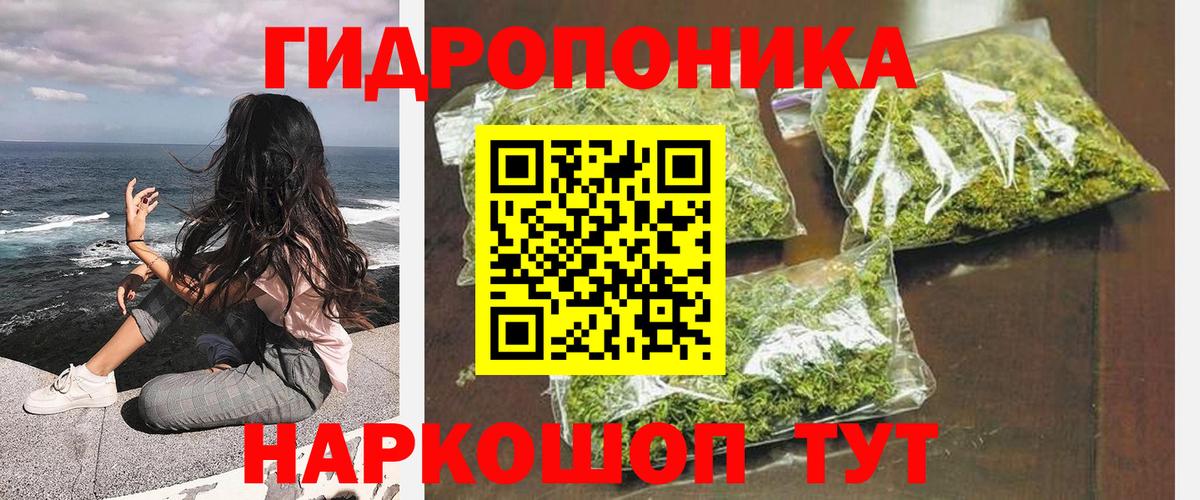 Бошки Шишки план  Вход с VPN  Бошки марихуана гибрид  Канабис сатива  Еманжелинск 